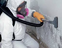 Duboistown, PA Mold Prevention & Removal  Company